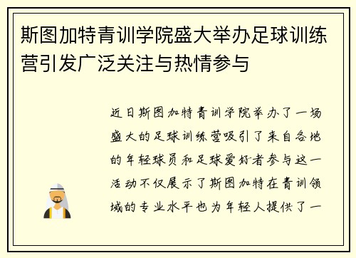 斯图加特青训学院盛大举办足球训练营引发广泛关注与热情参与