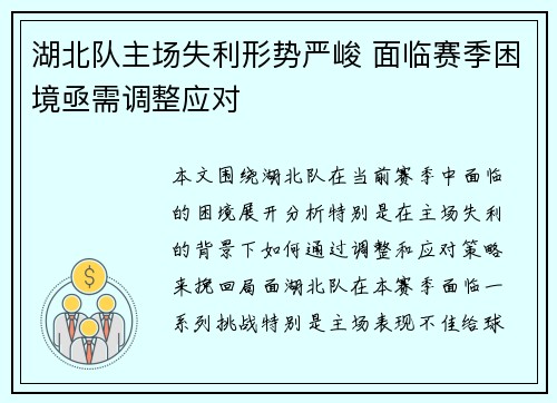 湖北队主场失利形势严峻 面临赛季困境亟需调整应对