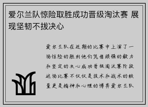 爱尔兰队惊险取胜成功晋级淘汰赛 展现坚韧不拔决心